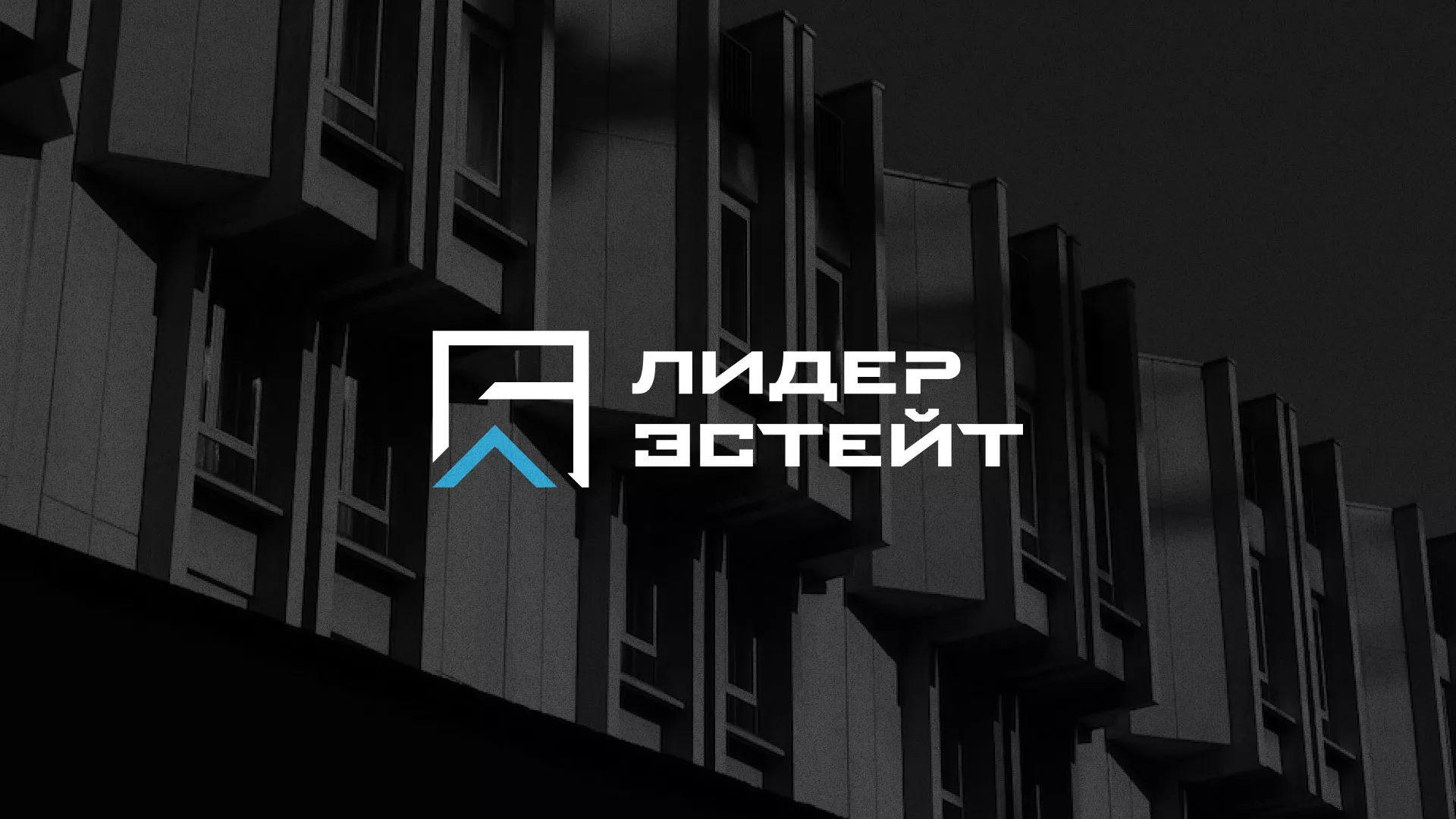 Разработка логотипа агентства недвижимости «Лидер Эстейт» в Козловке